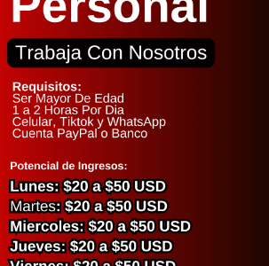 Adquiere tu propio negocio digital